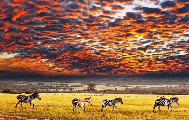 Why is Serengeti National Park so important?